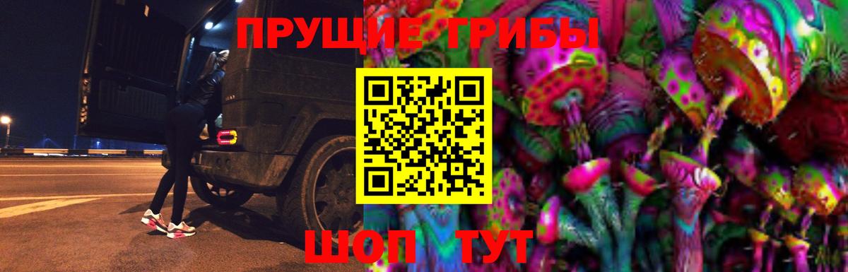 Галлюциногенные грибы Psilocybe  Вход с VPN  Камышин 
